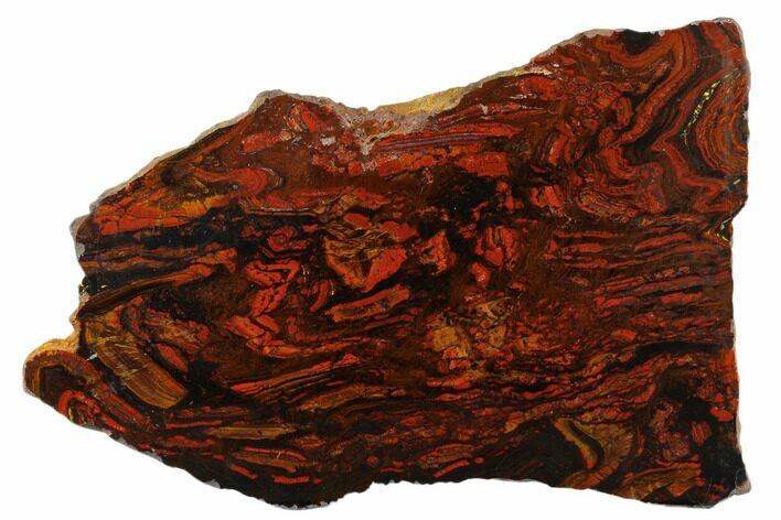 Polished Tiger Iron Stromatolite Slab - Billion Years #178757